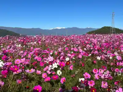矢彦神社(長野県)