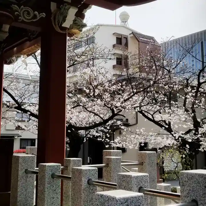 木場 洲﨑神社の自然