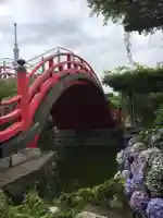 亀戸天神社の庭園