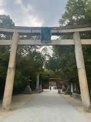 大山祇神社の鳥居