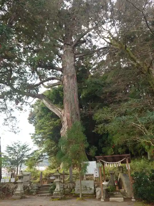 飛龍八幡宮(山口県)