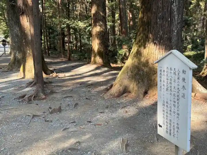 小國神社(静岡県)
