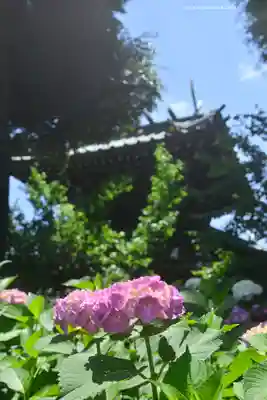 白山神社(東京都)