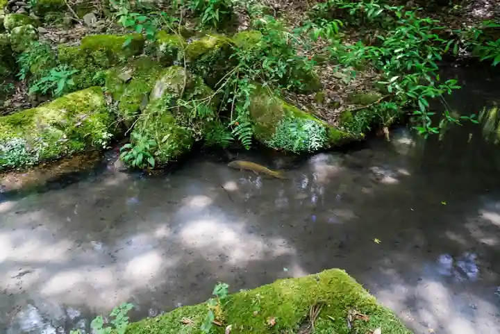 神上寺(山口県)