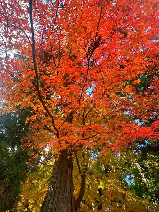 陸奥総社宮(宮城県)