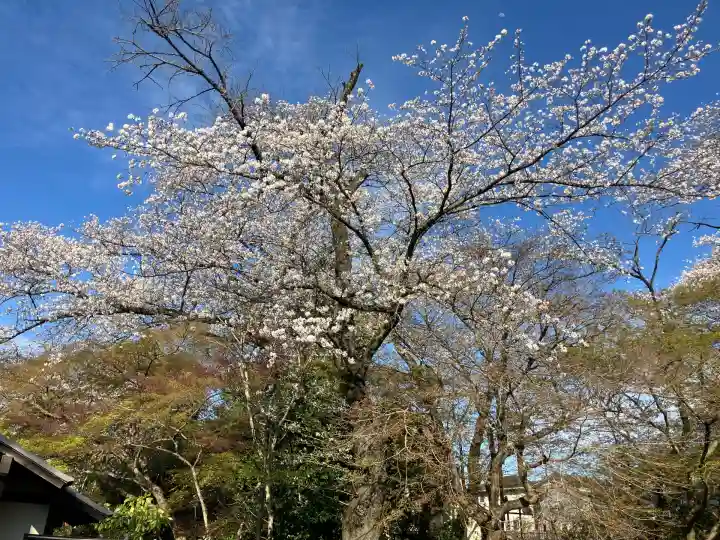 本土寺(千葉県)