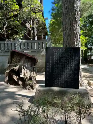 白幡天神社(千葉県)