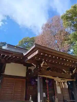 春日神社(東京都)