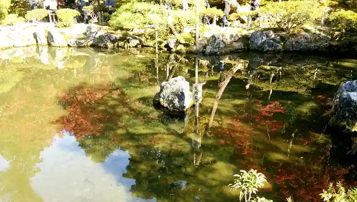 慈照寺(慈照禅寺・銀閣寺)の庭園