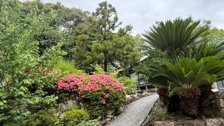 大日寺(高知県)
