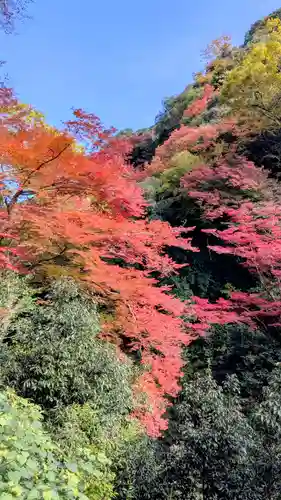 勝尾寺(大阪府)