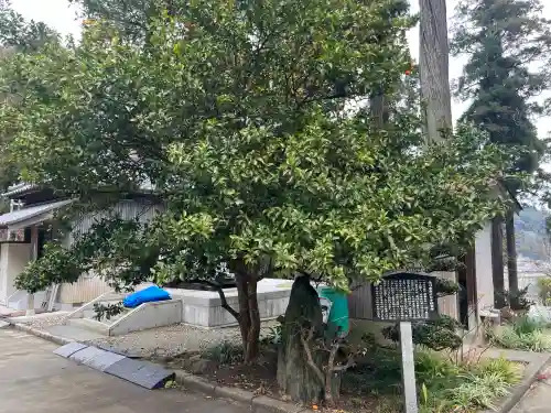 本漸寺の{uncategorized: "未分類", other: "その他", undefined: "問題あり", building: "その他建物", grave: "お墓", sacred_gate: "鳥居", guardian: "狛犬", statue: "像", buddha: "仏像", history: "歴史", nature: "自然", garden: "庭園", animal: "動物", pagoda: "塔", temizu: "手水舎", mountain_gate: "山門・神門", sanctuary: "本殿・本堂", subordinate: "末社・摂社", art: "芸術", scenery: "景色", jizo: "地蔵", ema: "絵馬", goshuin: "御朱印", omikuji: "おみくじ", items: "授与品その他", amulet: "お守り", goshuincho: "御朱印帳", eats: "食事", festival: "お祭り", votive_dance: "神楽", shichigosan: "七五三参", wedding: "結婚式", experience: "体験その他", initially: "初詣", around: "周辺", anti_infection: "感染症対策"}
