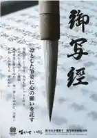 法話と天井絵の寺 観音寺(徳島県)