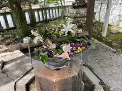 小名浜諏訪神社の手水