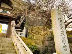 湯島天満宮の建物その他