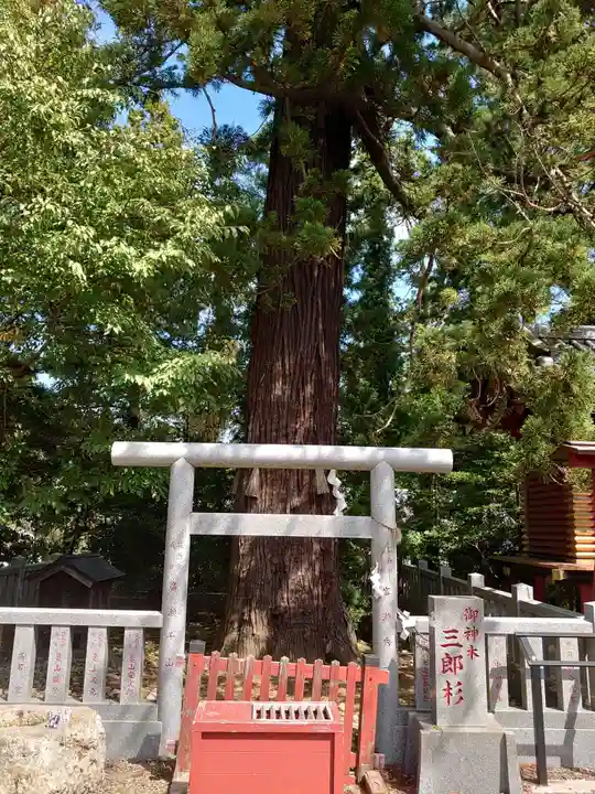大杉神社のその他建物