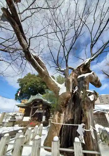 阿邪訶根神社の自然