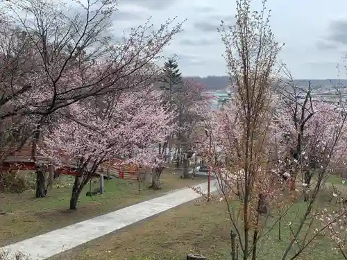 新得神社の景色