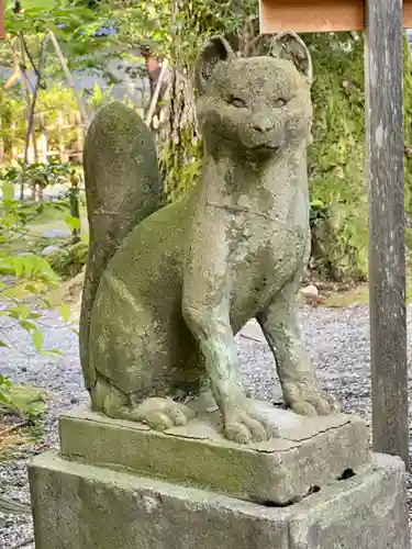 金澤神社の狛犬