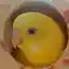 春納言さんのプロフィール画像