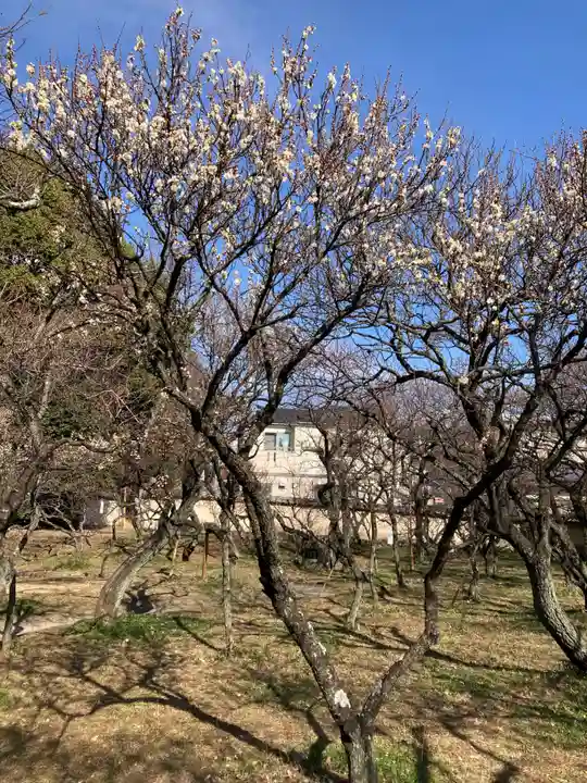 谷保天満宮(東京都)