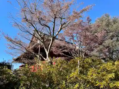 清水観音堂(東京都)