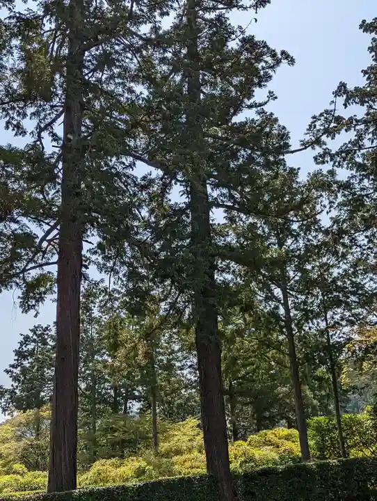 圓通寺(京都府)