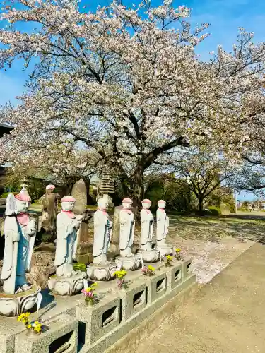 長明寺の{uncategorized: "未分類", other: "その他", undefined: "問題あり", building: "その他建物", grave: "お墓", sacred_gate: "鳥居", guardian: "狛犬", statue: "像", buddha: "仏像", history: "歴史", nature: "自然", garden: "庭園", animal: "動物", pagoda: "塔", temizu: "手水舎", mountain_gate: "山門・神門", sanctuary: "本殿・本堂", subordinate: "末社・摂社", art: "芸術", scenery: "景色", jizo: "地蔵", ema: "絵馬", goshuin: "御朱印", omikuji: "おみくじ", items: "授与品その他", amulet: "お守り", goshuincho: "御朱印帳", eats: "食事", festival: "お祭り", votive_dance: "神楽", shichigosan: "七五三参", wedding: "結婚式", experience: "体験その他", initially: "初詣", around: "周辺", anti_infection: "感染症対策"}