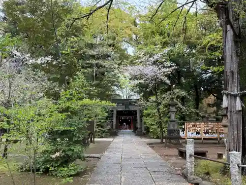 赤坂氷川神社(東京都)
