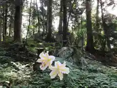 鹿島大神宮の自然