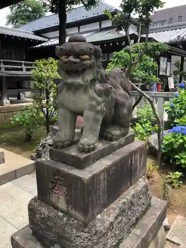 白山神社の狛犬