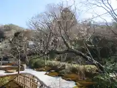 浄妙寺の庭園