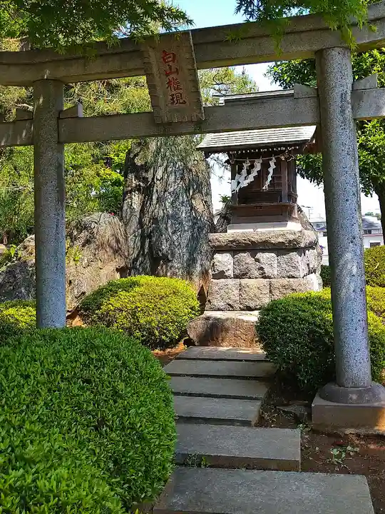 白山神社の鳥居