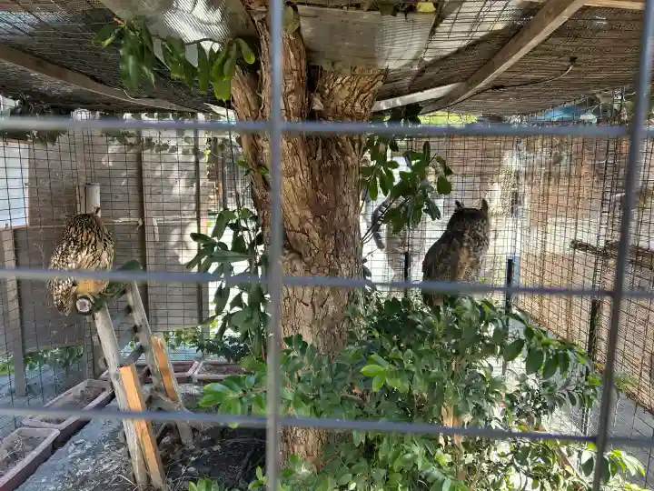 宮地嶽神社の{uncategorized: "未分類", other: "その他", undefined: "問題あり", building: "その他建物", grave: "お墓", sacred_gate: "鳥居", guardian: "狛犬", statue: "像", buddha: "仏像", history: "歴史", nature: "自然", garden: "庭園", animal: "動物", pagoda: "塔", temizu: "手水舎", mountain_gate: "山門・神門", sanctuary: "本殿・本堂", subordinate: "末社・摂社", art: "芸術", scenery: "景色", jizo: "地蔵", ema: "絵馬", goshuin: "御朱印", omikuji: "おみくじ", items: "授与品その他", amulet: "お守り", goshuincho: "御朱印帳", eats: "食事", festival: "お祭り", votive_dance: "神楽", shichigosan: "七五三参", wedding: "結婚式", experience: "体験その他", initially: "初詣", around: "周辺", anti_infection: "感染症対策"}