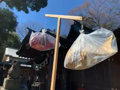 岩槻久伊豆神社(埼玉県)