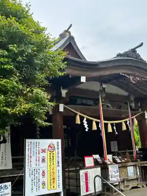 鳩森八幡神社の本殿・本堂