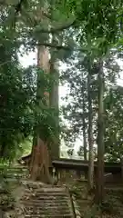 丹生川上神社（中社）(奈良県)