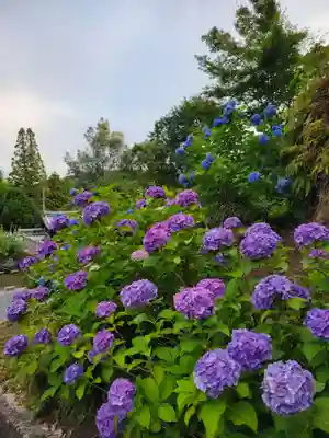 本光寺(愛知県)