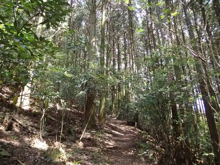 大元神社(宇佐神宮奥宮)の自然