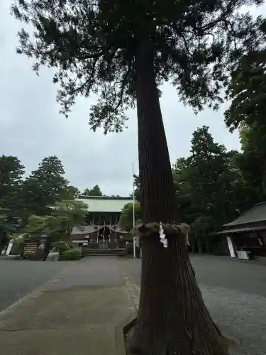 比々多神社(神奈川県)