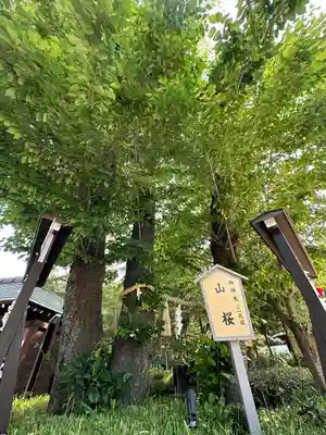 櫻木神社(千葉県)