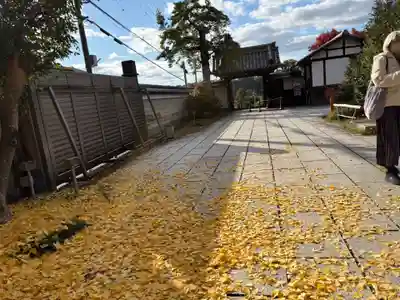 霊鑑寺門跡(京都府)