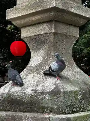 鶴峯山稲荷社（平塚八幡宮境内社）(神奈川県)