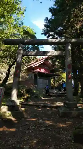 大山阿夫利神社本社の鳥居