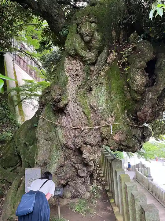 楽法寺(雨引観音)(茨城県)