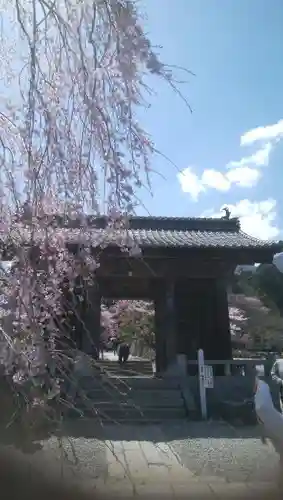 宝積山光前寺の自然