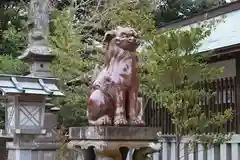 大洗磯前神社の狛犬