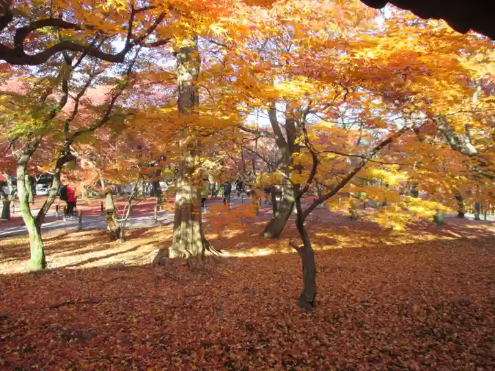 東福禅寺(東福寺)(京都府)