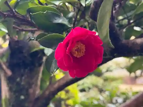 西方山極楽寺(岐阜県)