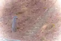 大杉神社(宮城県)